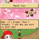 Illustration for article titled Two New Harvest Moon Games To Celebrate 10th Anniversary